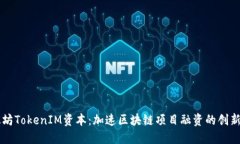 以太坊TokenIM资本：加速区块链项目融资的创新方