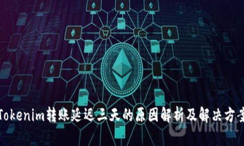 Tokenim转账延迟三天的原因解析及解决方案