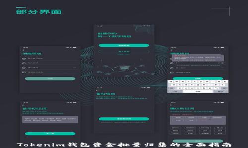 
Tokenim钱包资金批量归集的全面指南