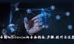 人民币转入Tokenim的全面指南：步骤、技巧与注意