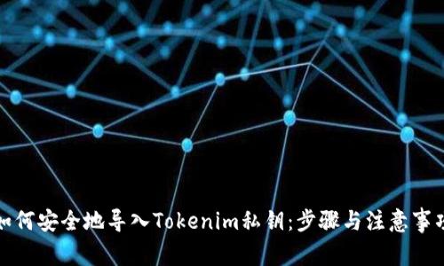 如何安全地导入Tokenim私钥：步骤与注意事项