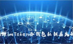 如何处理imToken冷钱包私钥丢失的情况？