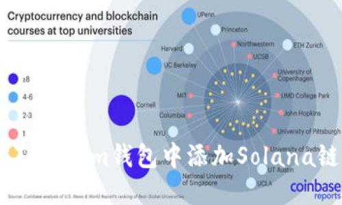 如何在Tokenim钱包中添加Solana链（SOL）