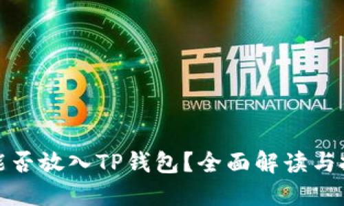 瑞波币能否放入TP钱包？全面解读与投资策略