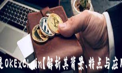 
什么是OKExChain？解析其背景、特点与应用前景