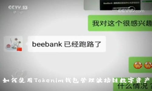 如何使用Tokenim钱包管理波场链数字资产