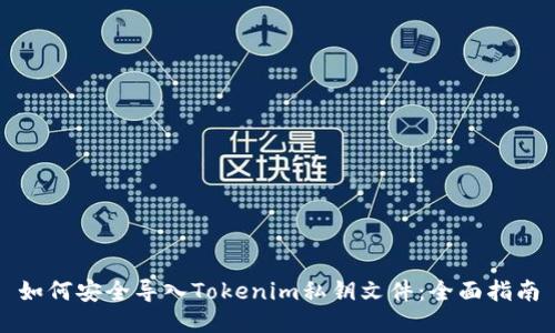 如何安全导入Tokenim私钥文件：全面指南