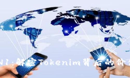 了解VIN1：解密Tokenim背后的价值与应用