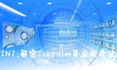 了解VIN1：解密Tokenim背后的