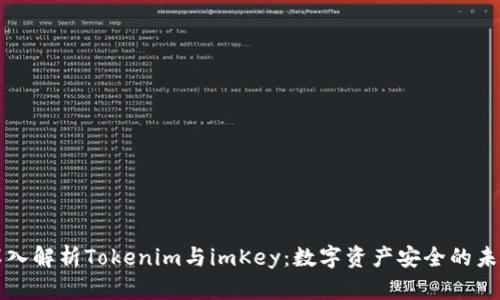 深入解析Tokenim与imKey：数字资产安全的未来