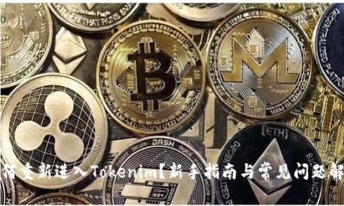 如何重新进入Tokenim？新手指南与常见问题解答