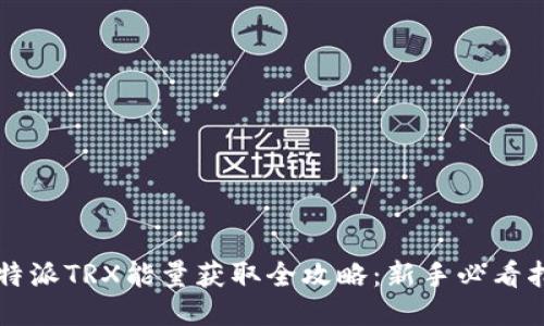 比特派TRX能量获取全攻略：新手必看指南