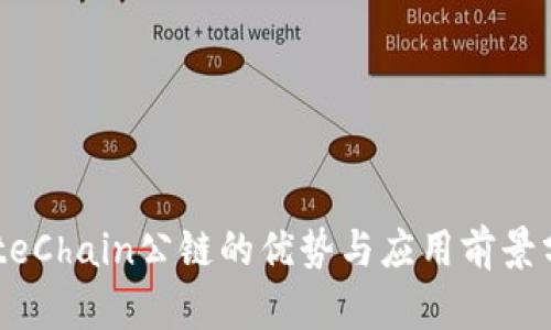 GateChain公链的优势与应用前景分析