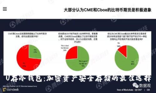 U存冷钱包：加密资产安全存储的最佳选择