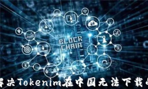 
如何解决Tokenim在中国无法下载的问题