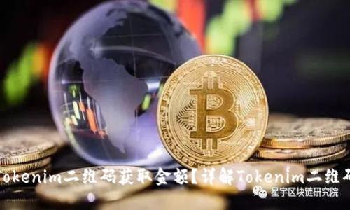 如何使用Tokenim二维码获取金额？详解Tokenim二维码支付流程