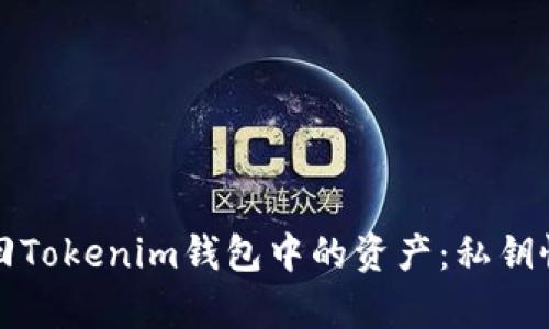 如何找回Tokenim钱包中的资产：私钥恢复指南