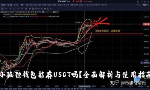 小狐狸钱包能存USDT吗？全面解析与使用指南