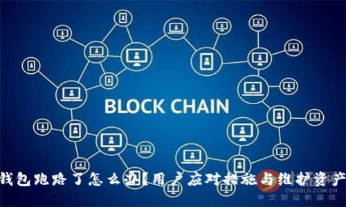 Tokenim钱包跑路了怎么办？用户应对措施与维护资产安全指南