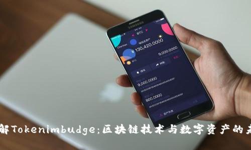 了解Tokenimbudge：区块链技术与数字资产的未来