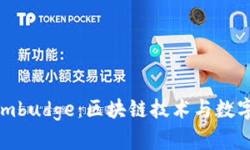 了解Tokenimbudge：区块链技术与数字资产的未来