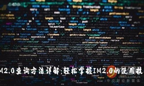 IM2.0查询方法详解：轻松掌握IM2.0的使用技巧