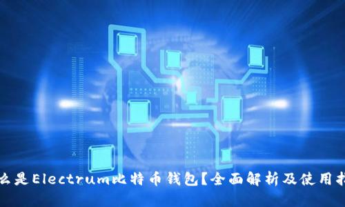 什么是Electrum比特币钱包？全面解析及使用指南