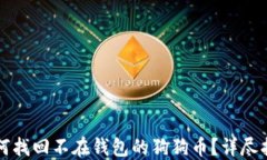如何找回不在钱包的狗狗