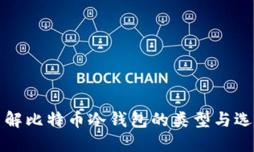 全面了解比特币冷钱包的类型与选择指南