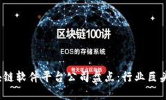 2023年区块链软件平台公司
