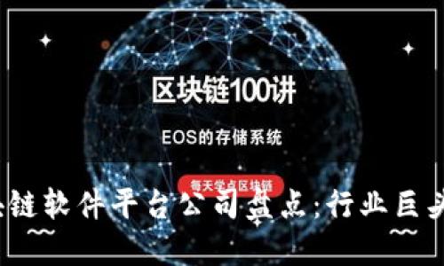 2023年区块链软件平台公司盘点：行业巨头与新兴力量