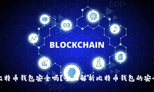 存比特币钱包安全吗？全面解析比特币钱包的安全性