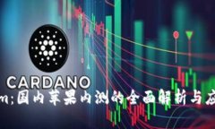 Tokenim：国内苹果内测的全