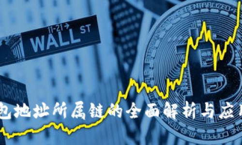 IM钱包地址所属链的全面解析与应用指南