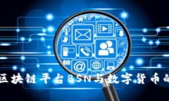 国家区块链平台BSN与数字