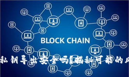 Tokenim 钱包私钥导出安全吗？揭秘可能的风险与防护措施