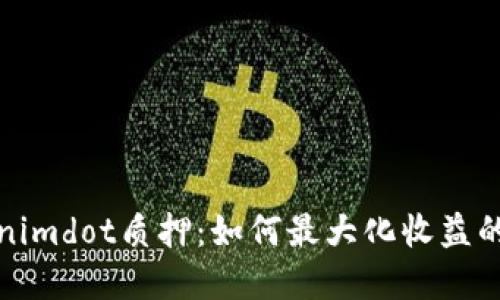 探索Tokenimdot质押：如何最大化收益的实用指南