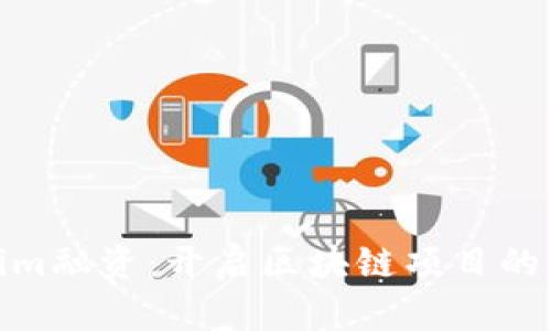 Tokenim融资：开启区块链项目的新机遇