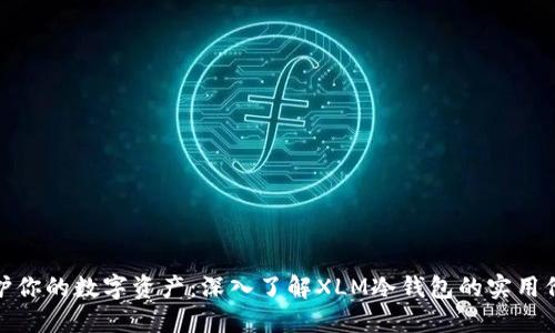 保护你的数字资产：深入了解XLM冷钱包的实用价值