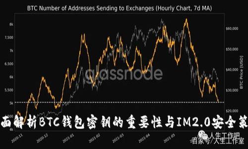 全面解析BTC钱包密钥的重要性与IM2.0安全策略