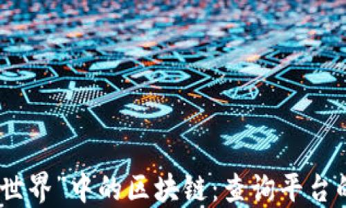 
探索“我的世界”中的区块链：查询平台的实用价值