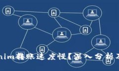 为何Tokenim转账速度慢？深入分析及解决方案