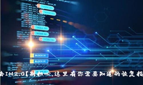 失去IM2.0？别担心，这里有你需要知道的恢复指南！