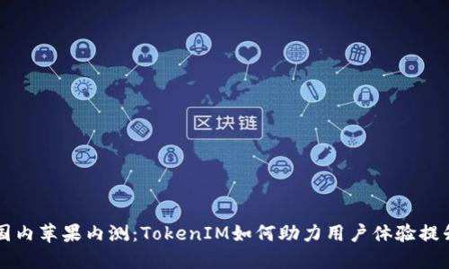 国内苹果内测：TokenIM如何助力用户体验提升