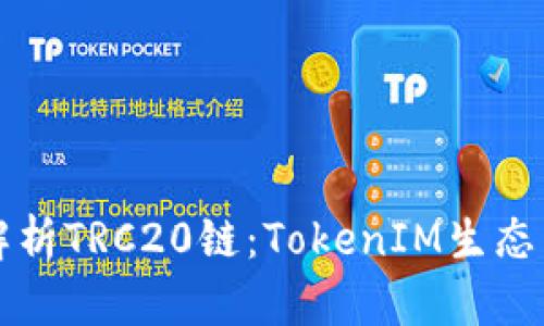 深度解析TRC20链：TokenIM生态与未来