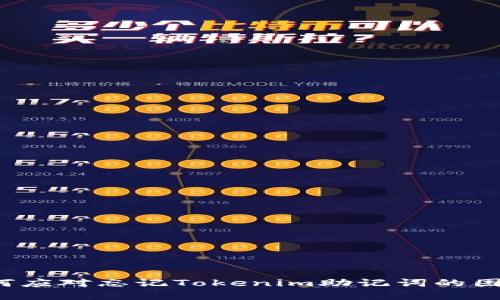 如何应对忘记Tokenim助记词的困境？