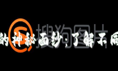 : 揭开数字货币钱包的神秘面纱：了解不同类型的数字货币钱包