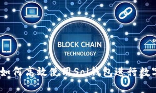 全面解析：如何高效使用Sol钱包进行数字货币管理