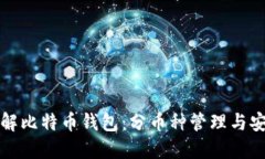 深入了解比特币钱包：分币种管理与安全策略