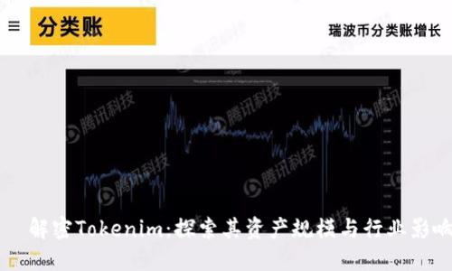     解密Tokenim：探索其资产规模与行业影响力